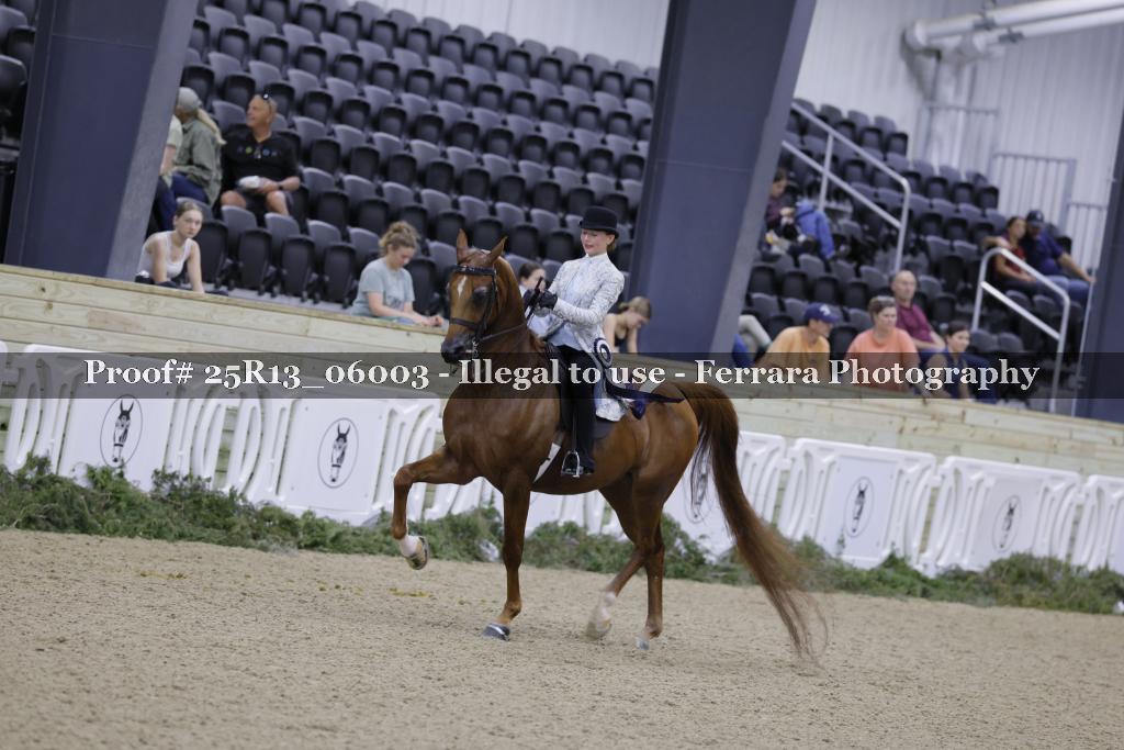 Proof 25R13_06003