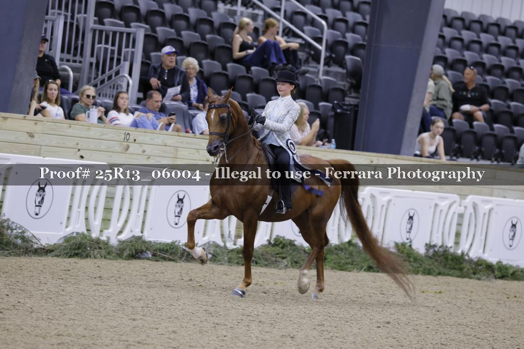 Proof 25R13_06004