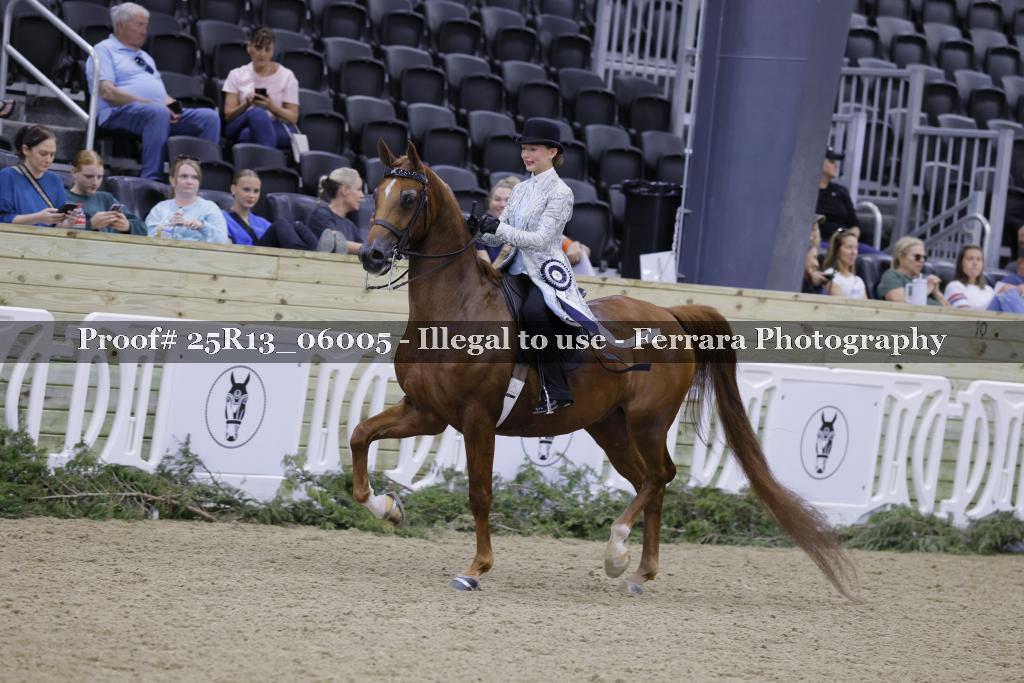 Proof 25R13_06005