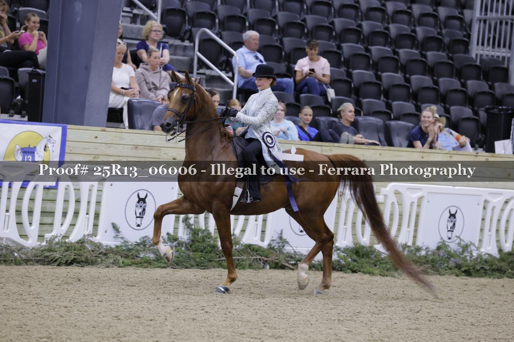 Proof 25R13_06006