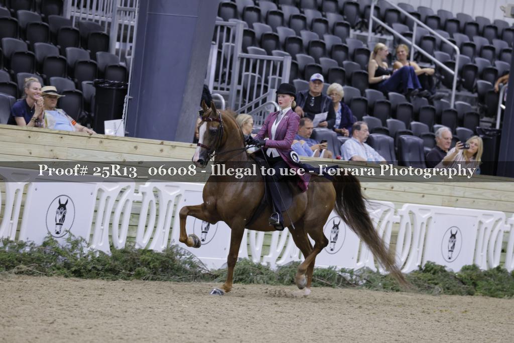 Proof 25R13_06008