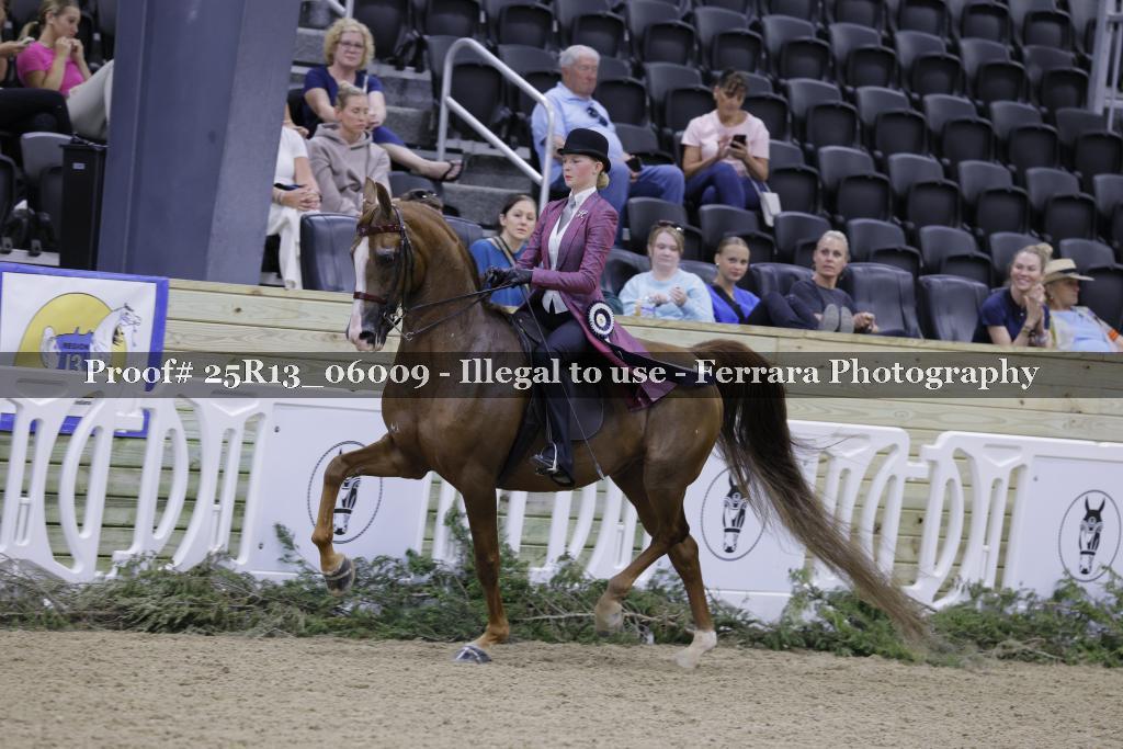 Proof 25R13_06009