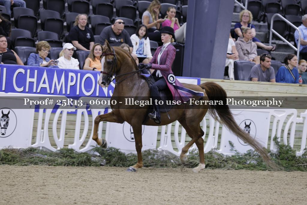 Proof 25R13_06010