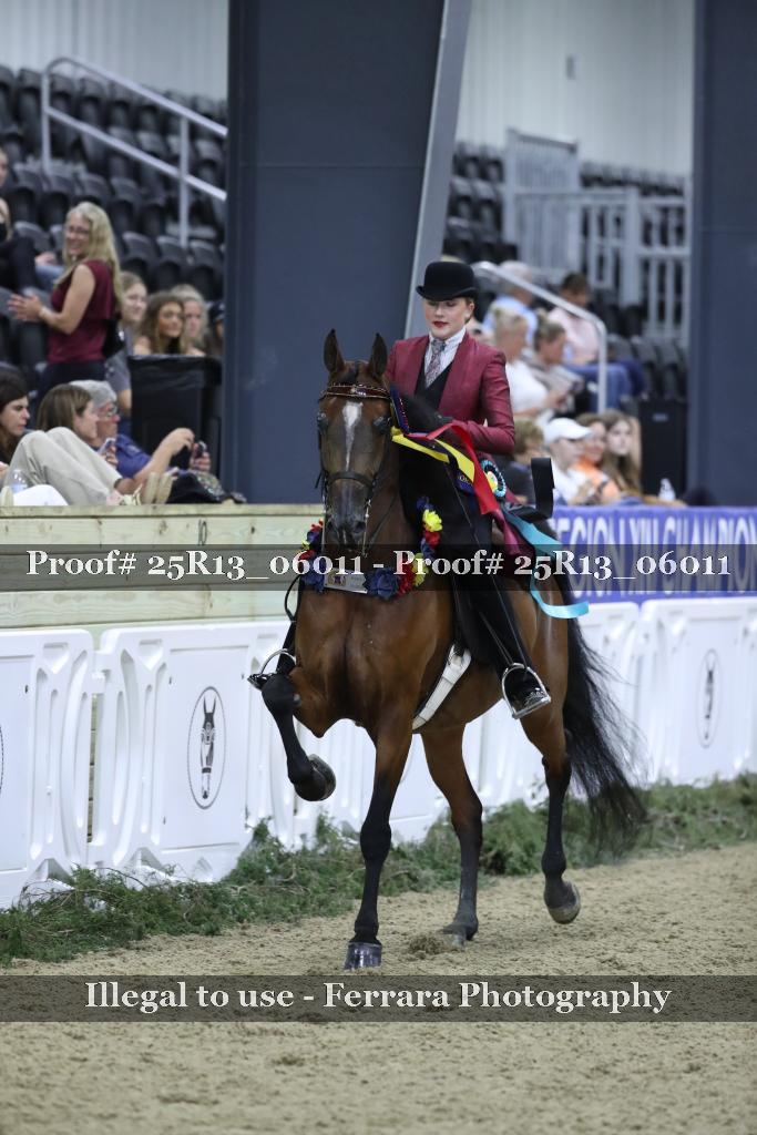 Proof 25R13_06011