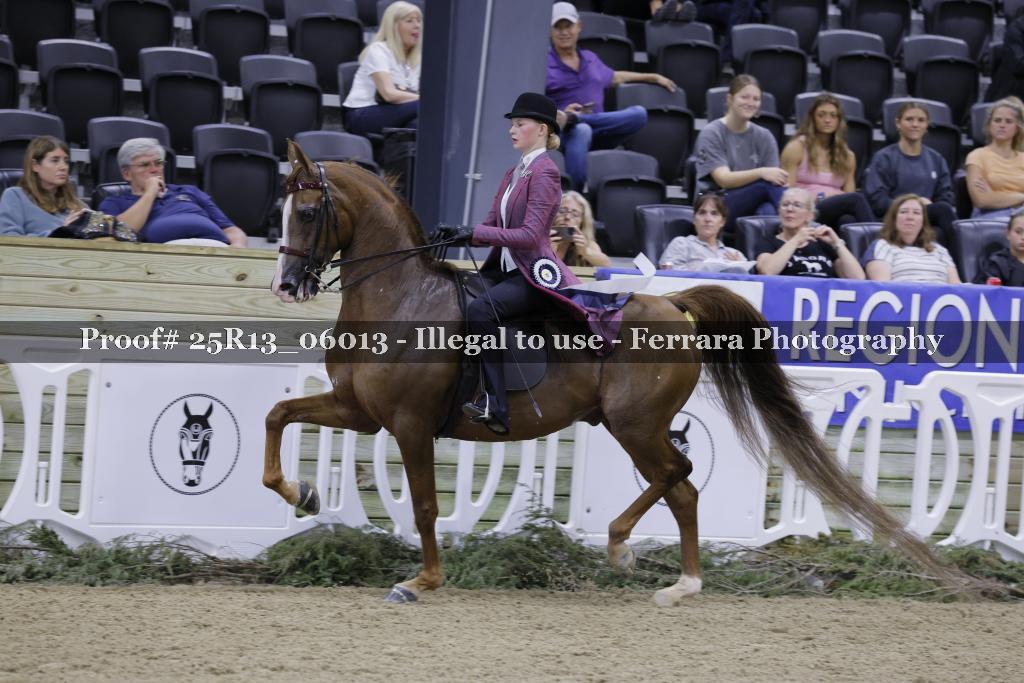 Proof 25R13_06013