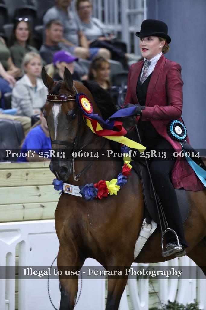 Proof 25R13_06014