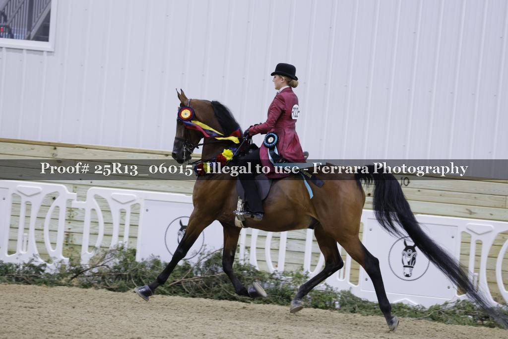 Proof 25R13_06015