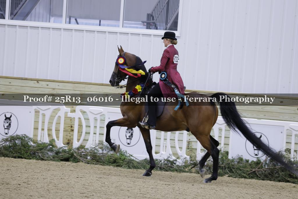 Proof 25R13_06016