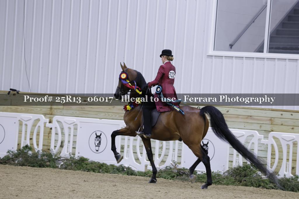 Proof 25R13_06017