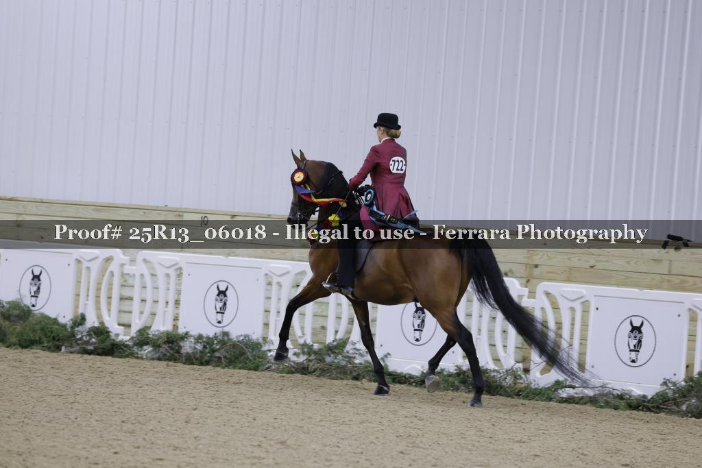 Proof 25R13_06018