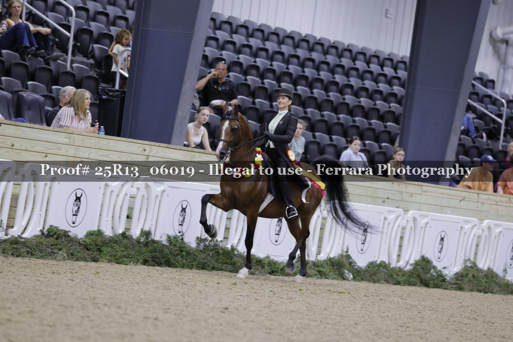 Proof 25R13_06019