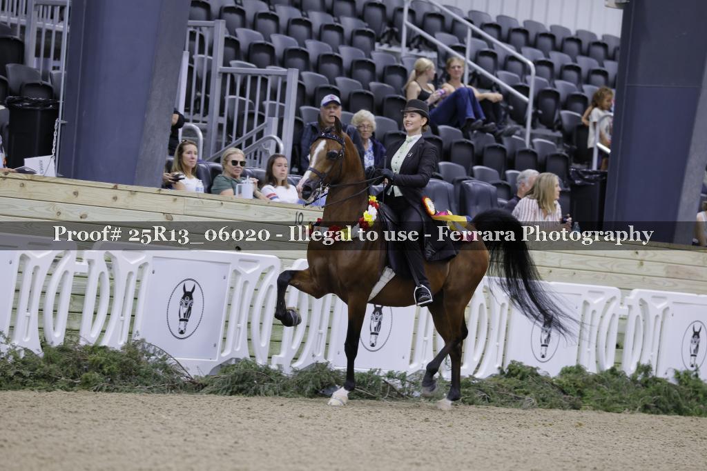 Proof 25R13_06020