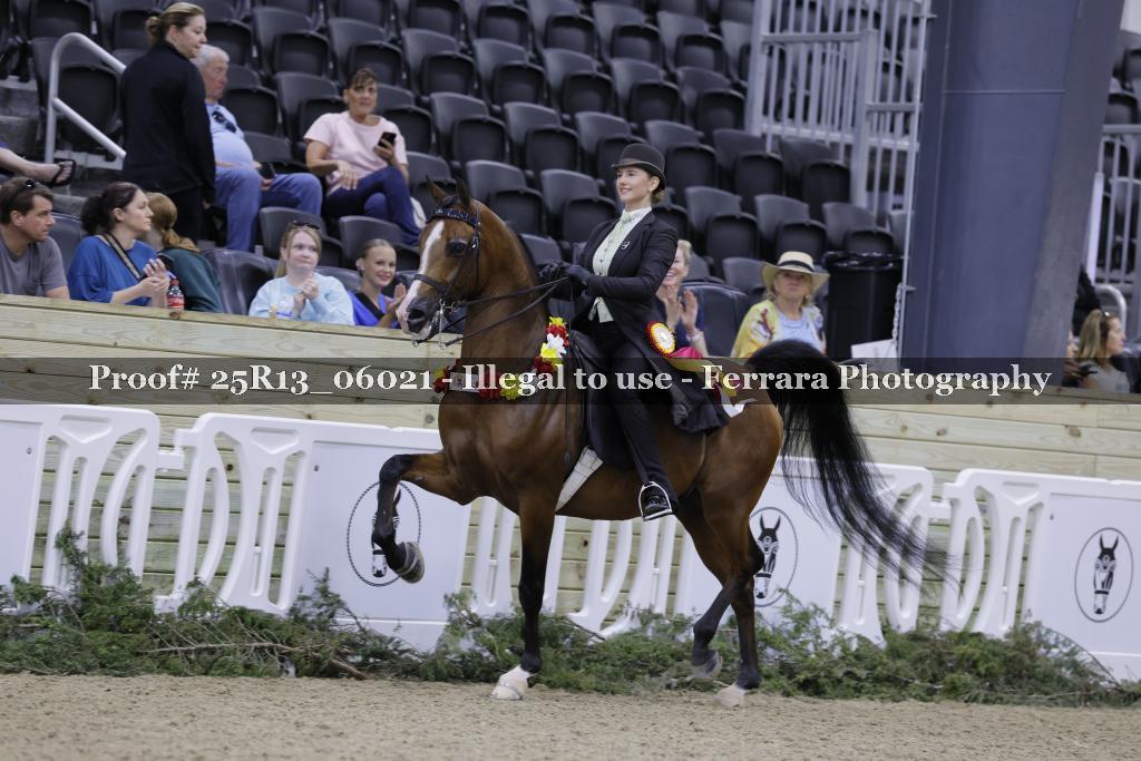 Proof 25R13_06021