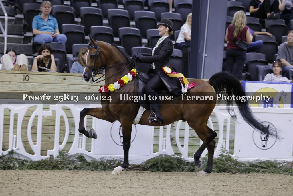 Proof 25R13_06024