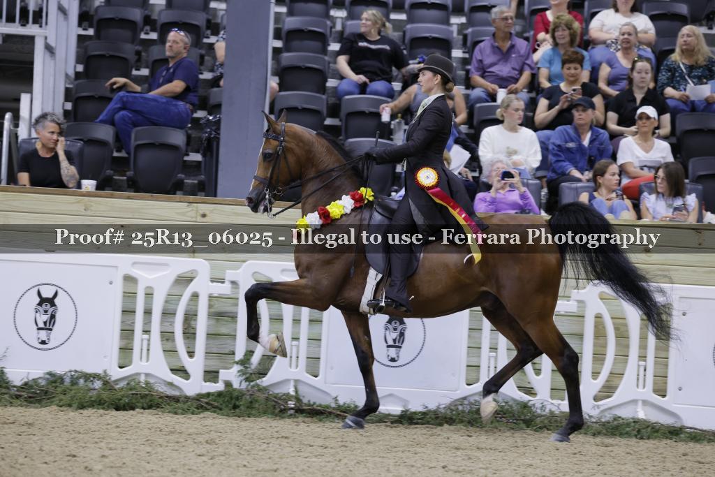 Proof 25R13_06025