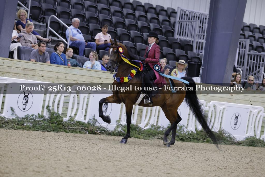 Proof 25R13_06028