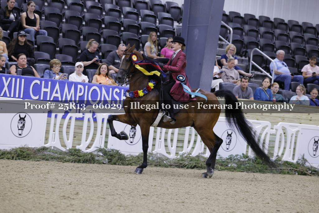 Proof 25R13_06029