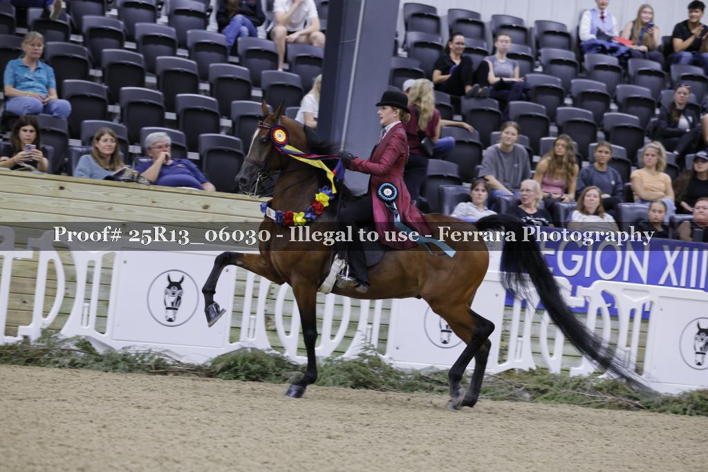 Proof 25R13_06030