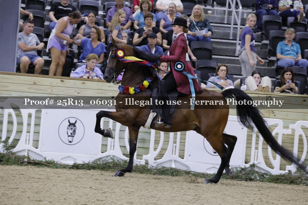 Proof 25R13_06031