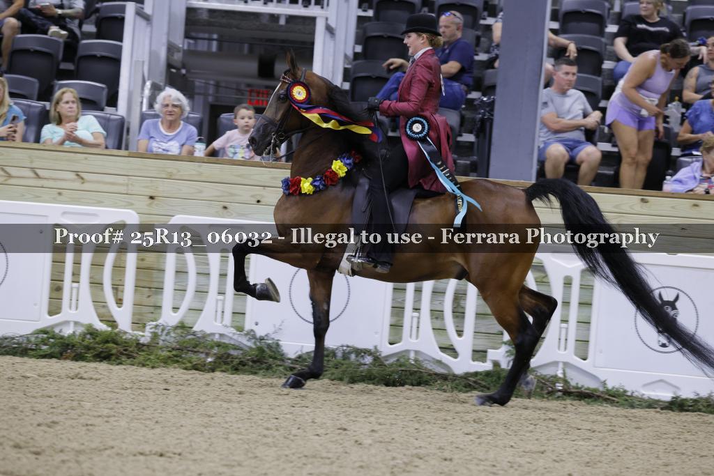 Proof 25R13_06032
