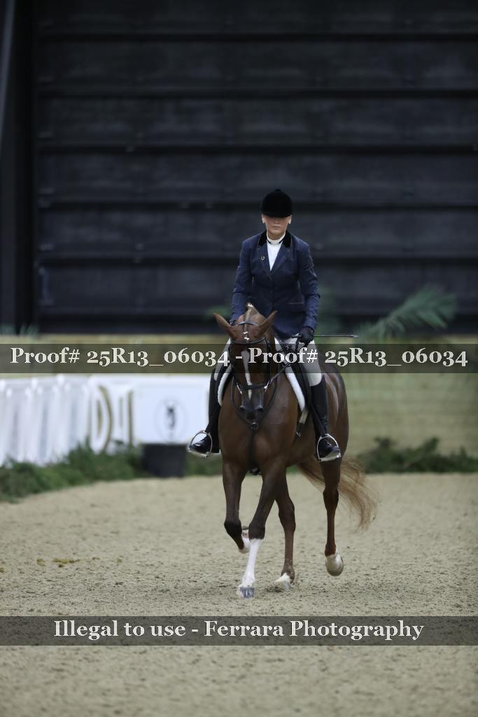 Proof 25R13_06034