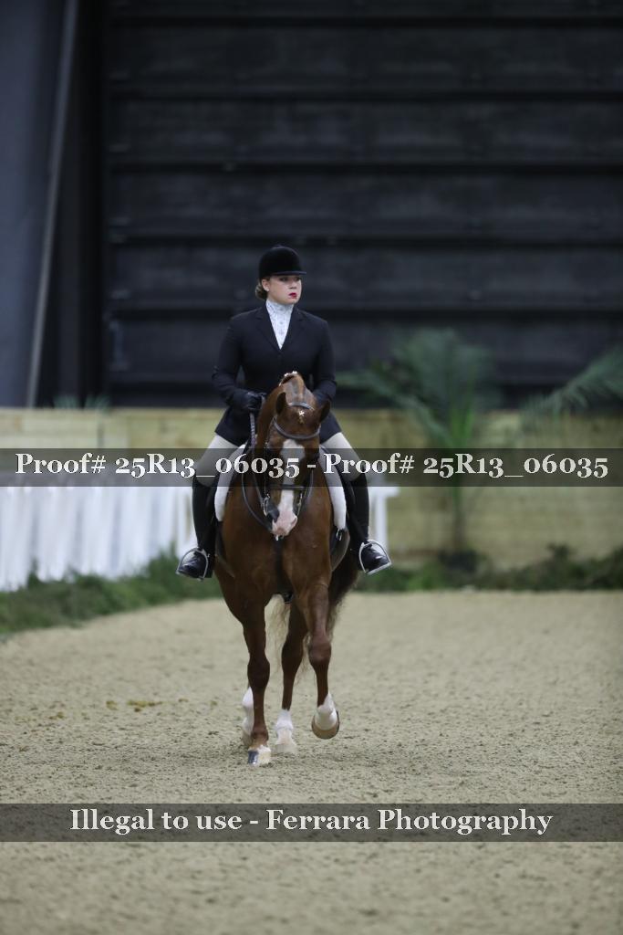 Proof 25R13_06035