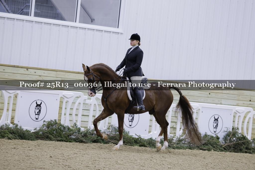 Proof 25R13_06036