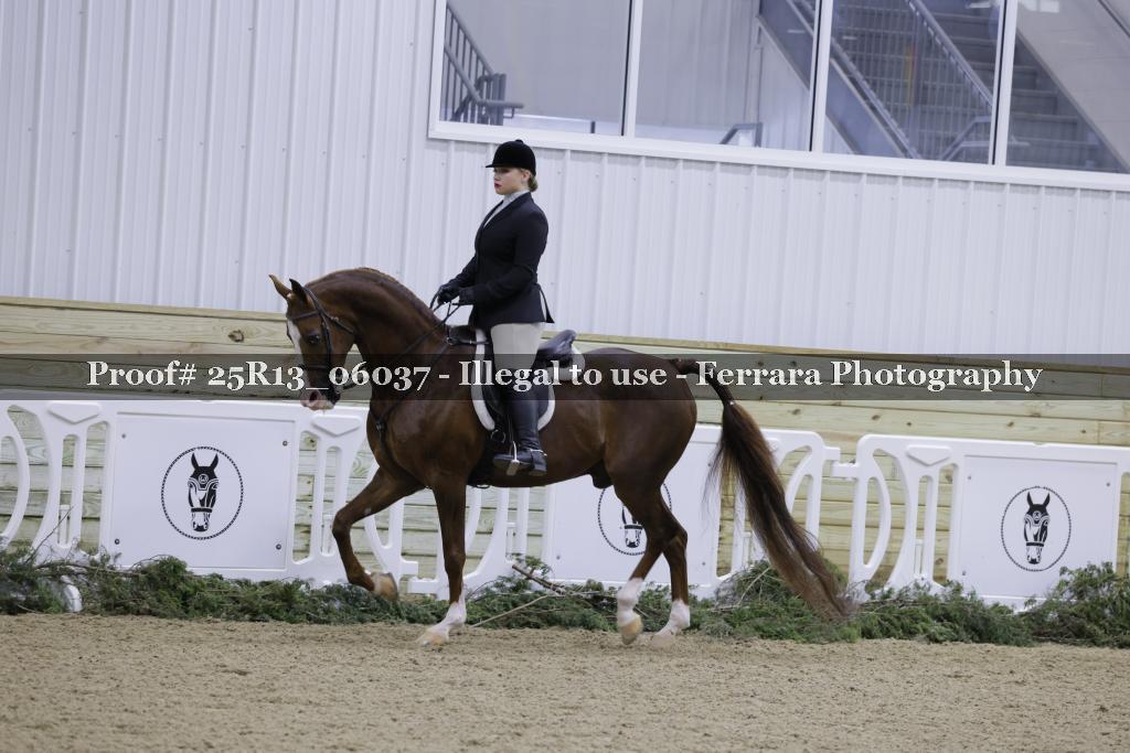 Proof 25R13_06037