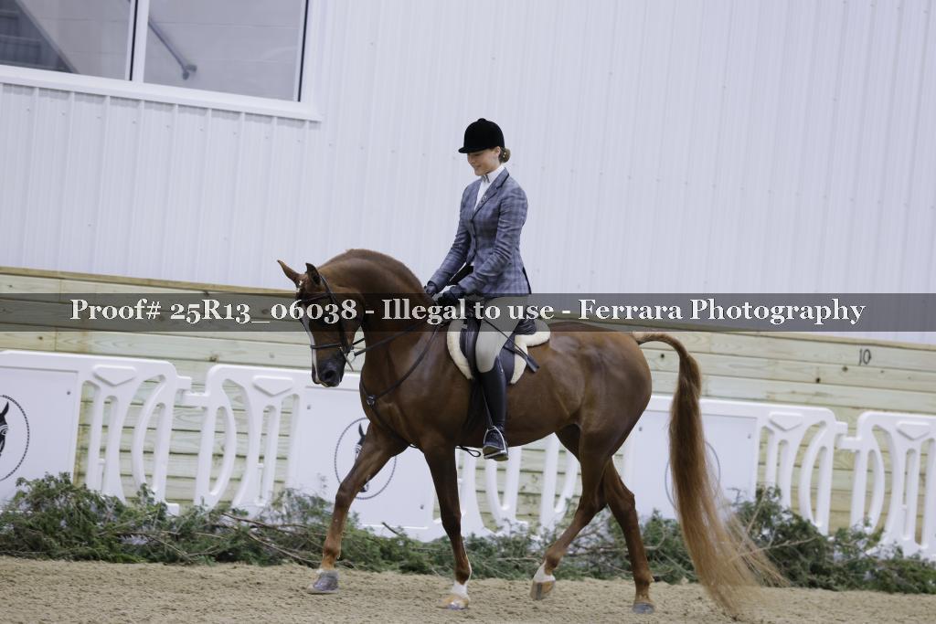 Proof 25R13_06038