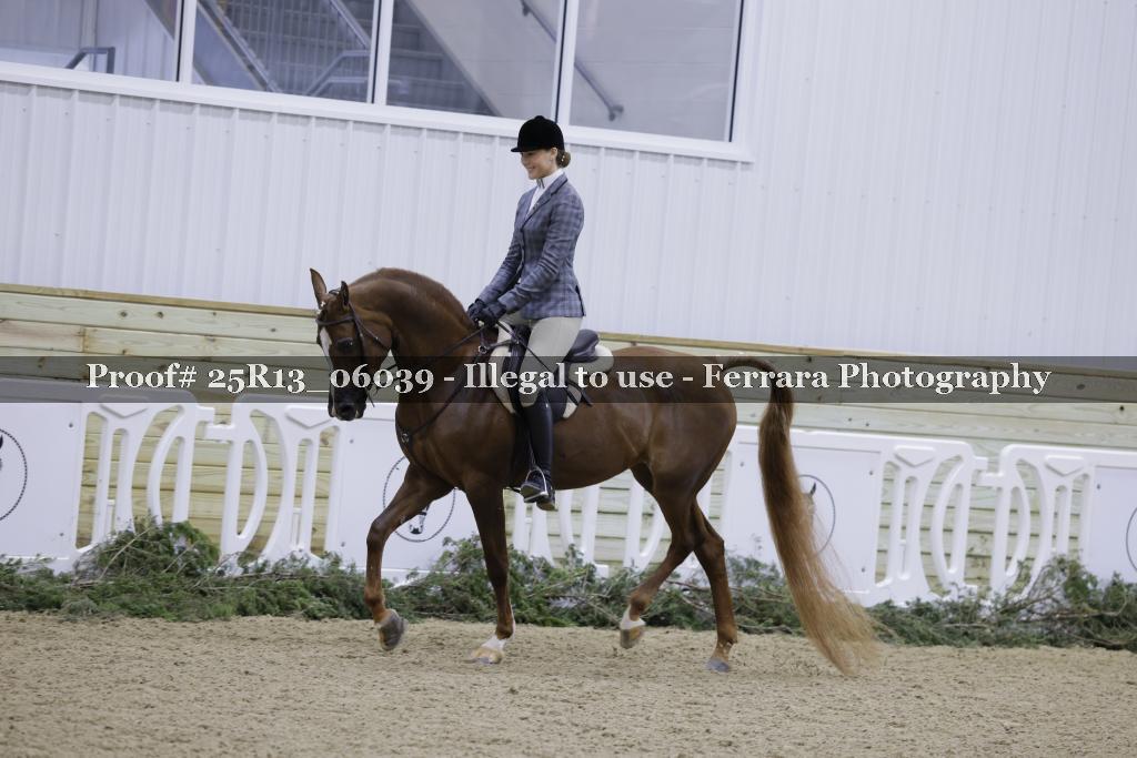 Proof 25R13_06039