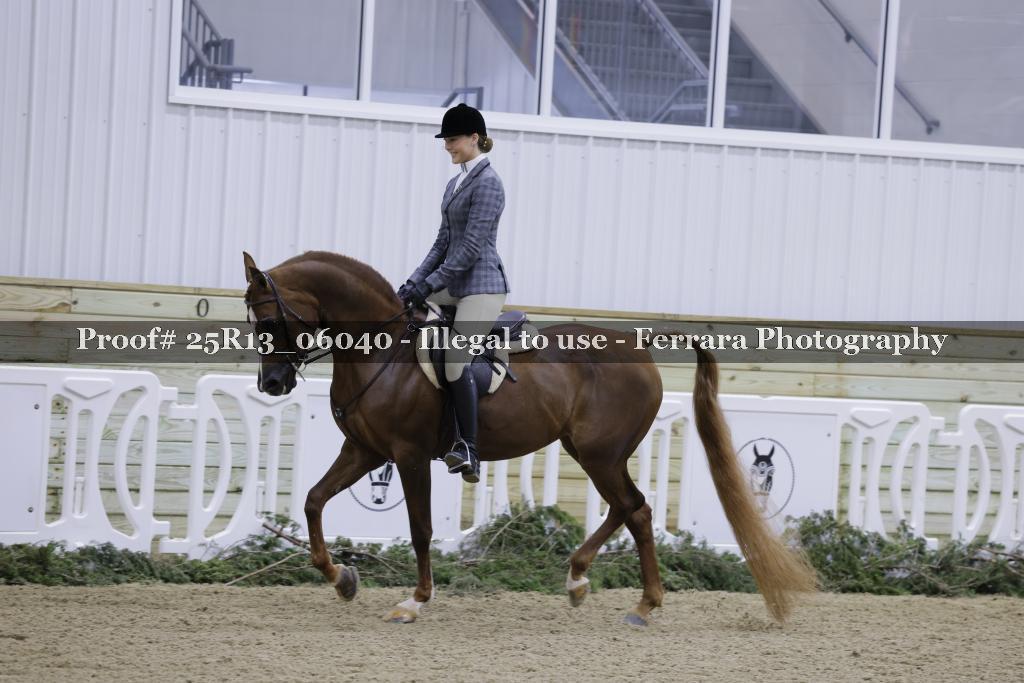 Proof 25R13_06040