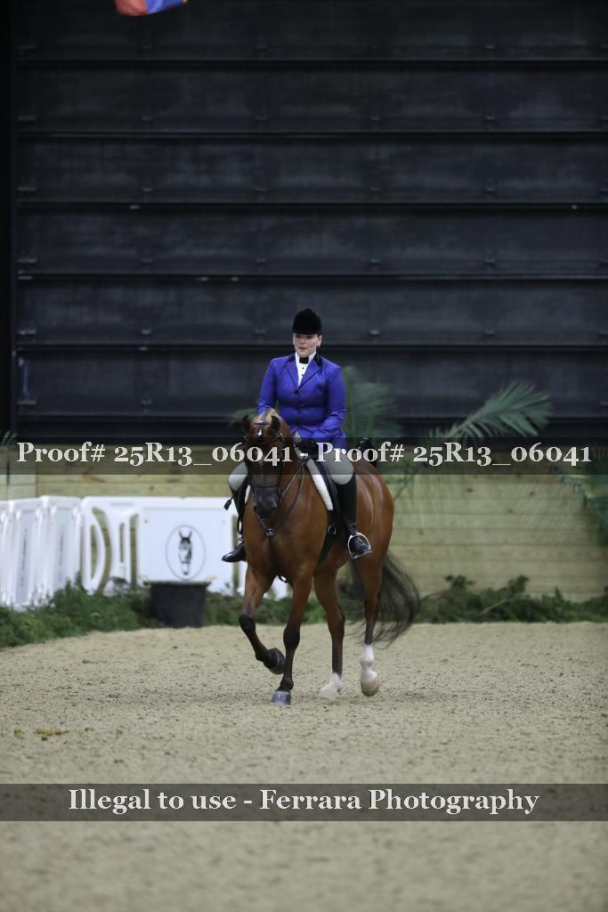 Proof 25R13_06041
