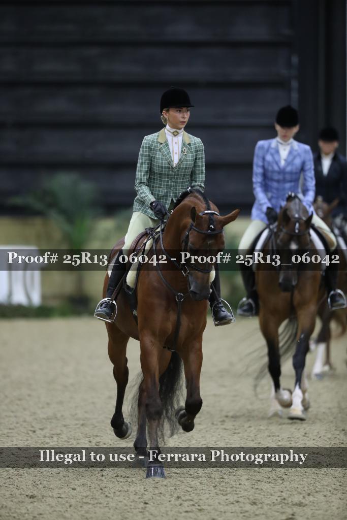 Proof 25R13_06042