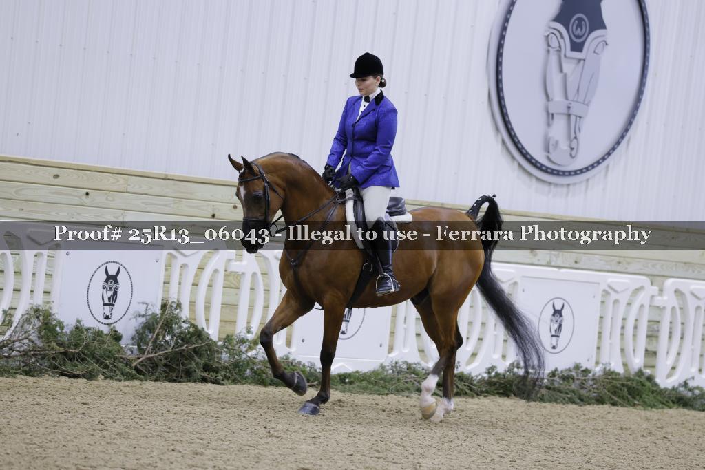 Proof 25R13_06043