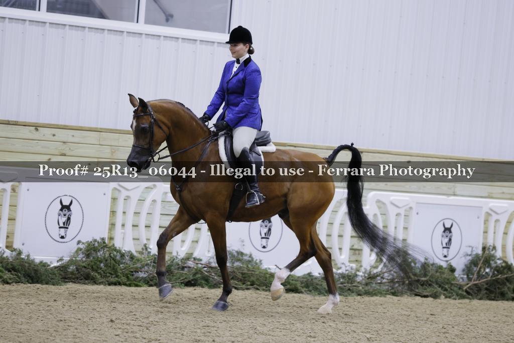 Proof 25R13_06044