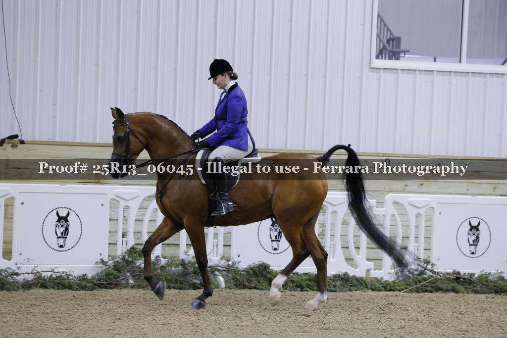 Proof 25R13_06045