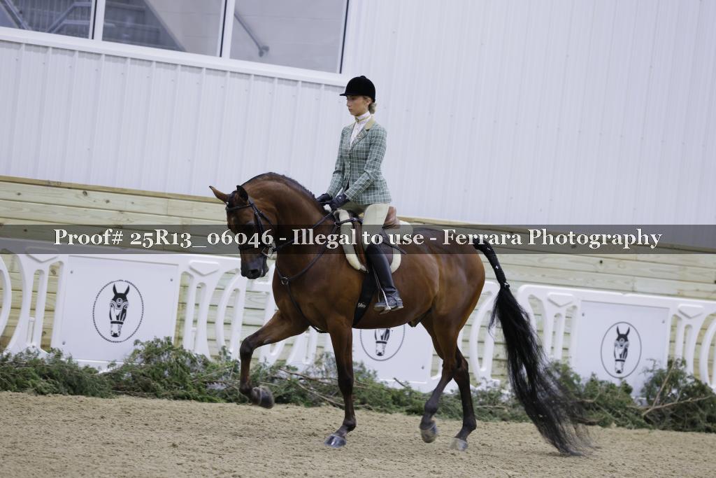 Proof 25R13_06046