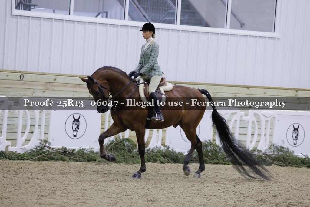Proof 25R13_06047