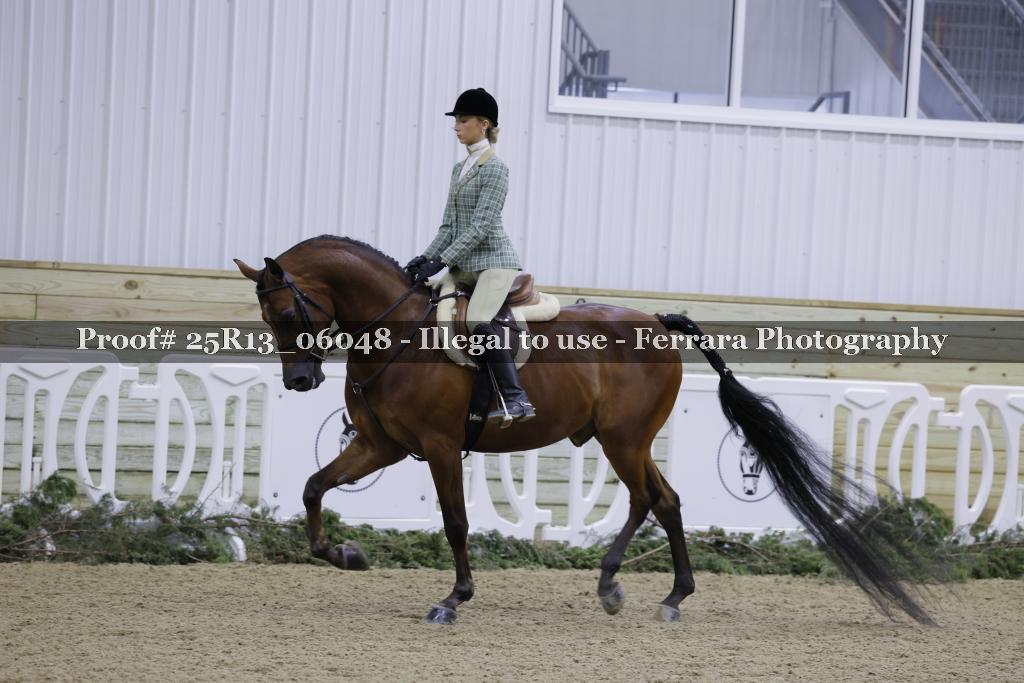 Proof 25R13_06048