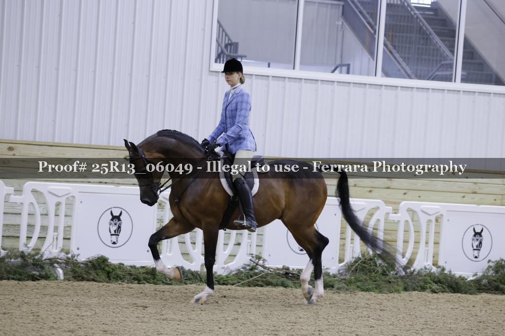 Proof 25R13_06049