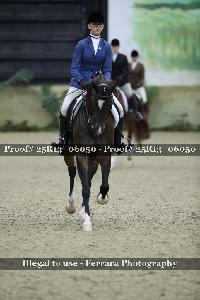 Proof 25R13_06050