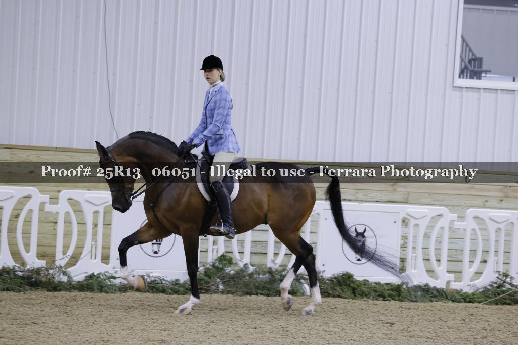 Proof 25R13_06051