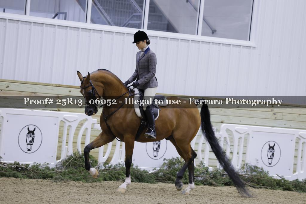 Proof 25R13_06052