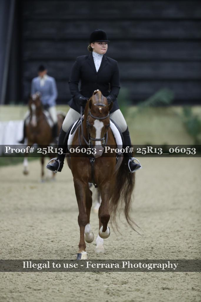 Proof 25R13_06053
