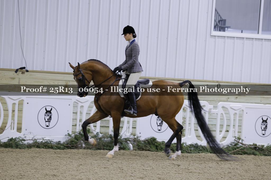 Proof 25R13_06054