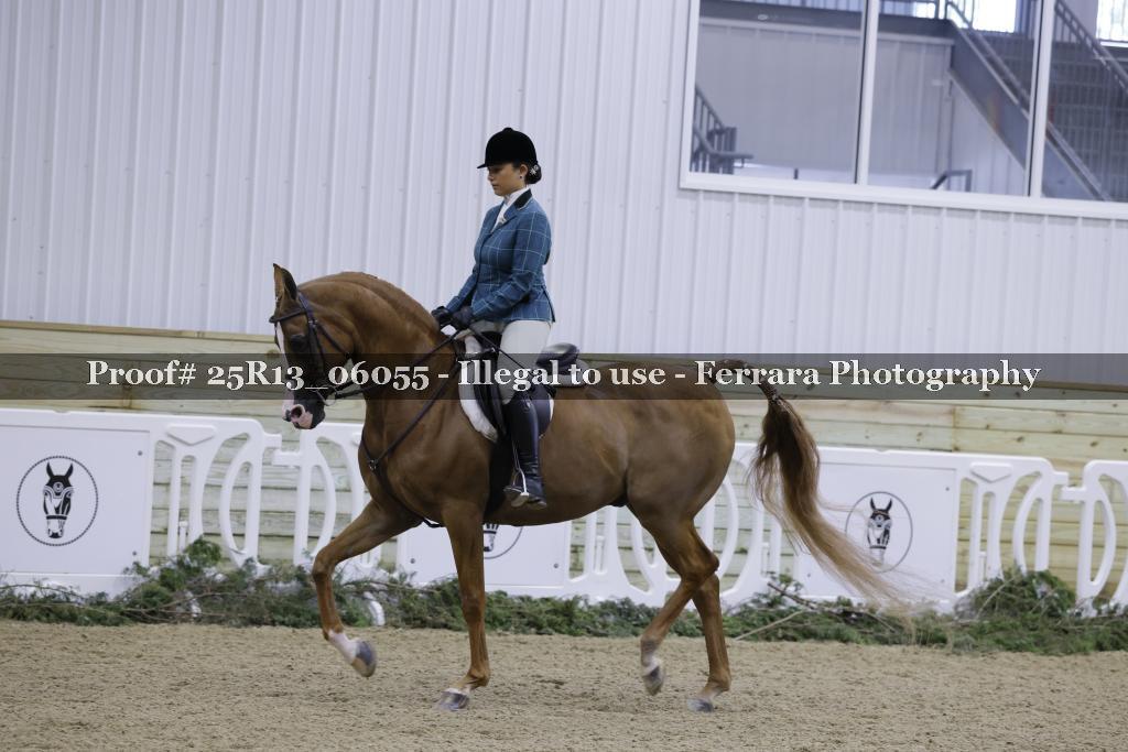Proof 25R13_06055