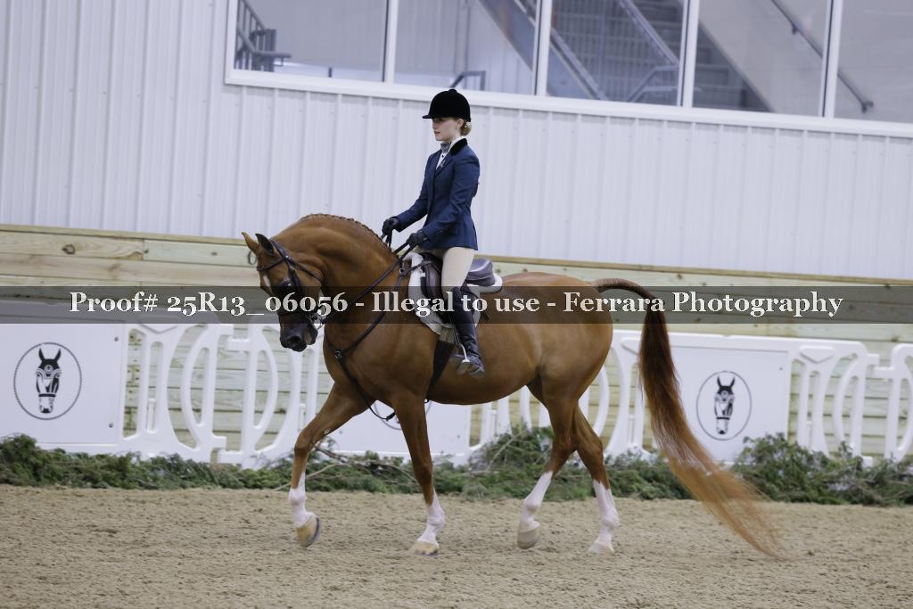 Proof 25R13_06056