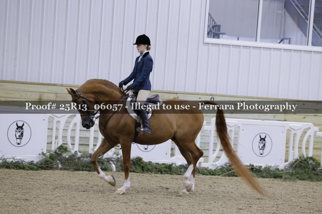 Proof 25R13_06057