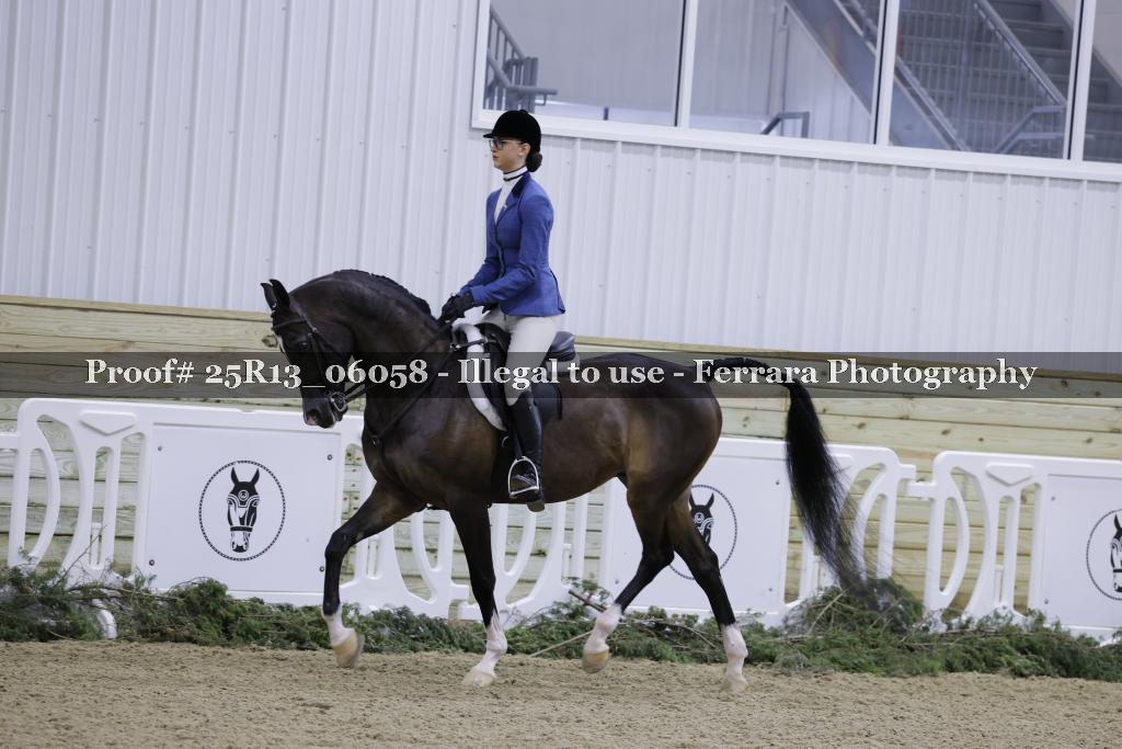 Proof 25R13_06058