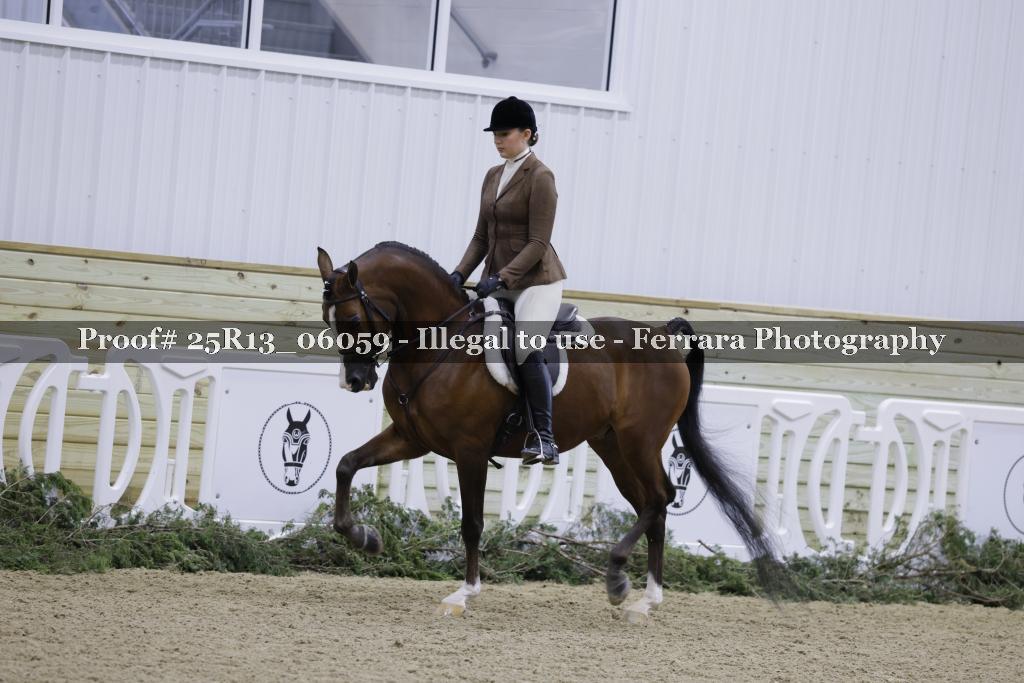 Proof 25R13_06059